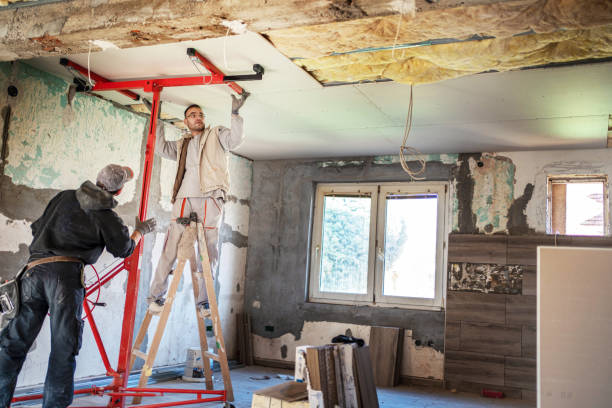 Best Insulation Replacement Services  in Avalon, PA