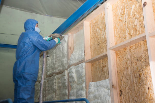 Insulation Repair Services in Avalon, PA